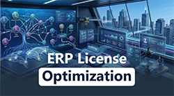 ERP License Optimization Blog