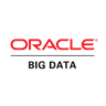 Oracle Big Data Logo