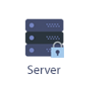 Server Icon